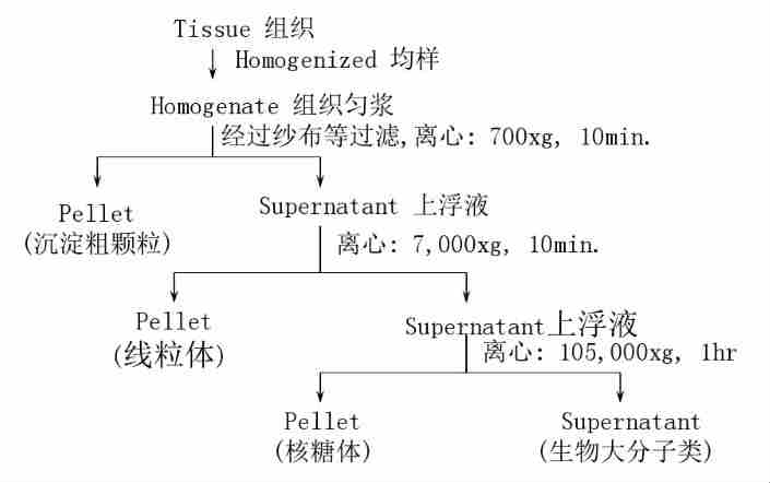 日立离心机售后电话-离心机的离心方法···