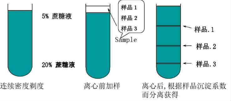 日立离心机维修电话