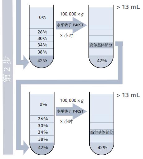 利用密度梯度超速离心法从水稻幼苗中分离和富集高尔基体