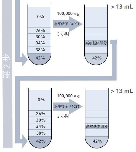 利用密度梯度超速离心法从水稻幼苗中分离和富集高尔基体